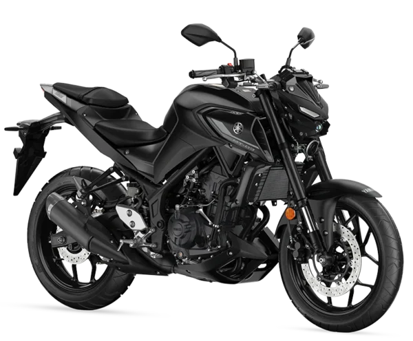 Yamaha MT-03 Periodic Service