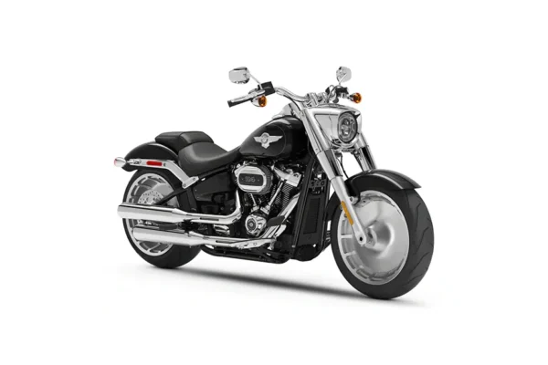 Harley Davidson Fat Boy 114 Periodic Service